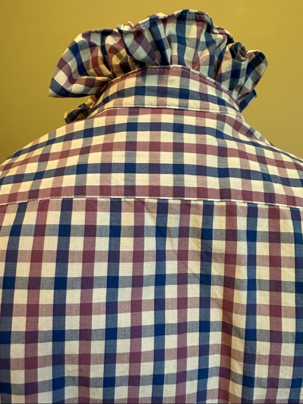 Goodthreads Purple & White Check Ruffle Collar Button-Down - Picture 4 of 7
